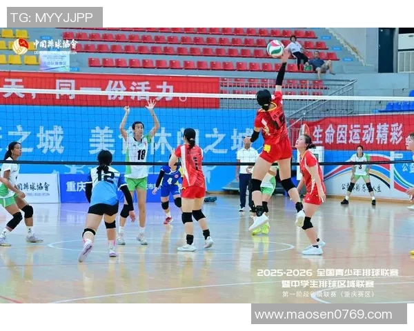 重庆排球队勇夺最新排球耐力TOP10榜首位置引发热议