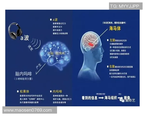 杨敏专访：探寻足球成功背后的秘密与智慧