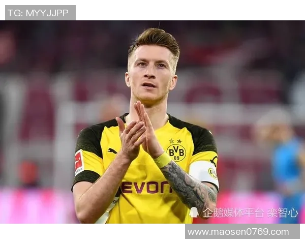 足球明星成功防脱秘笈揭秘让你重拾自信与魅力的护发之道