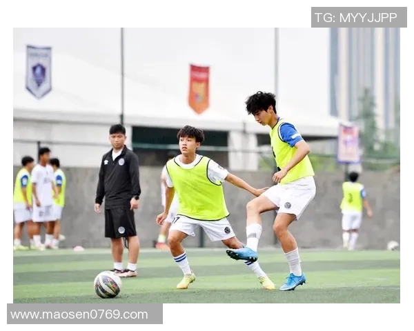 近几年退役足球明星的职业转型与人生新篇章探讨 近几年退役足球明星的职业转型与人生新篇章探讨