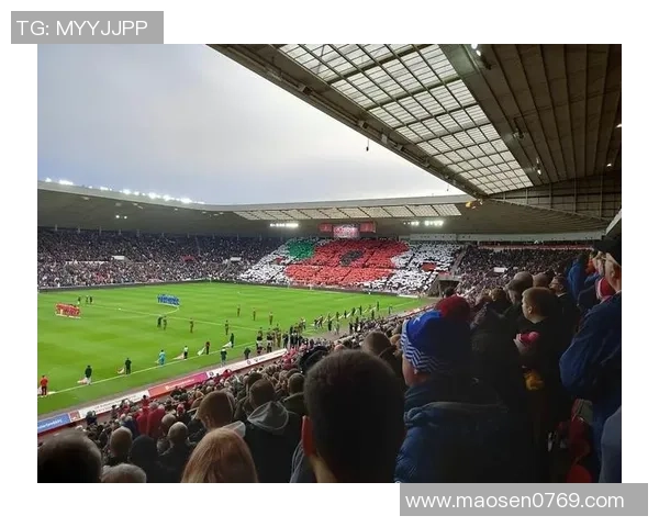 闪耀绿茵场的N字母传奇足球明星们的辉煌故事与成就回顾