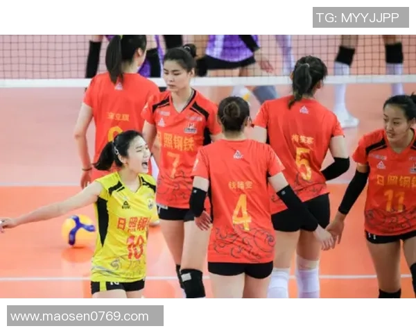 上海排球队战术引发热议球迷与专家观点交锋分析