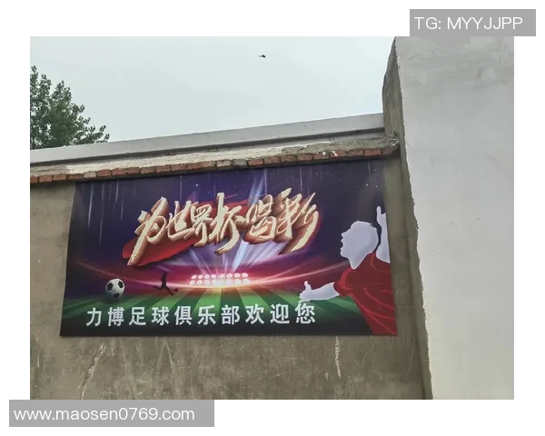 足球明星写真集：捕捉绿茵场上的激情瞬间与荣耀时刻