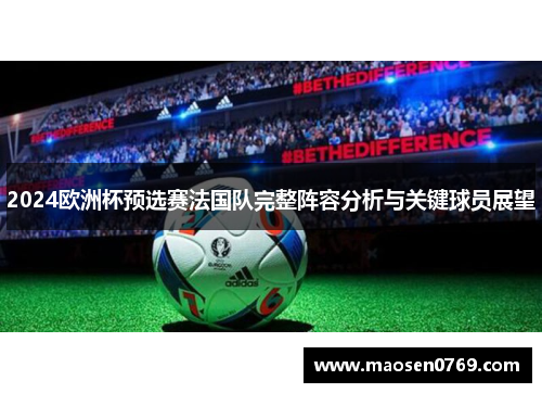 2024欧洲杯预选赛法国队完整阵容分析与关键球员展望