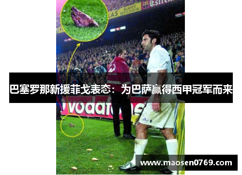 巴塞罗那新援菲戈表态：为巴萨赢得西甲冠军而来