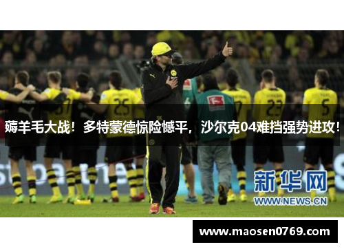 薅羊毛大战！多特蒙德惊险憾平，沙尔克04难挡强势进攻！