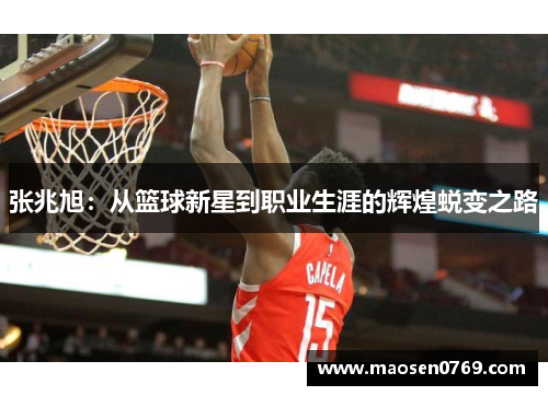 张兆旭：从篮球新星到职业生涯的辉煌蜕变之路